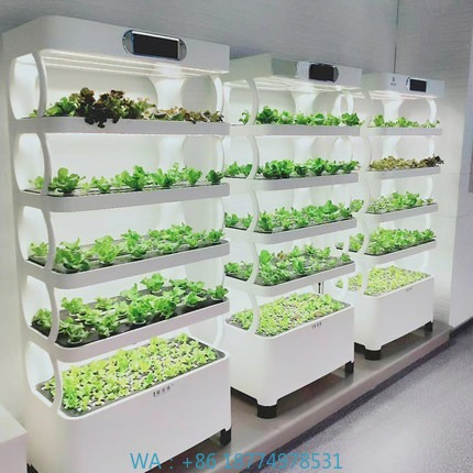 Sistema de cultivo automatizad - Diy Home Automation System reseña y precio