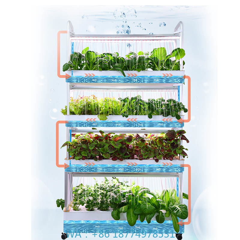 Sistema de plantación ydroponi - Diy Home Automation System reseña y precio