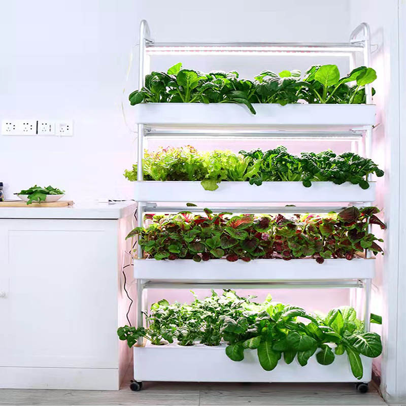 Sistema de plantación ydroponi - Diy Home Automation System reseña y precio