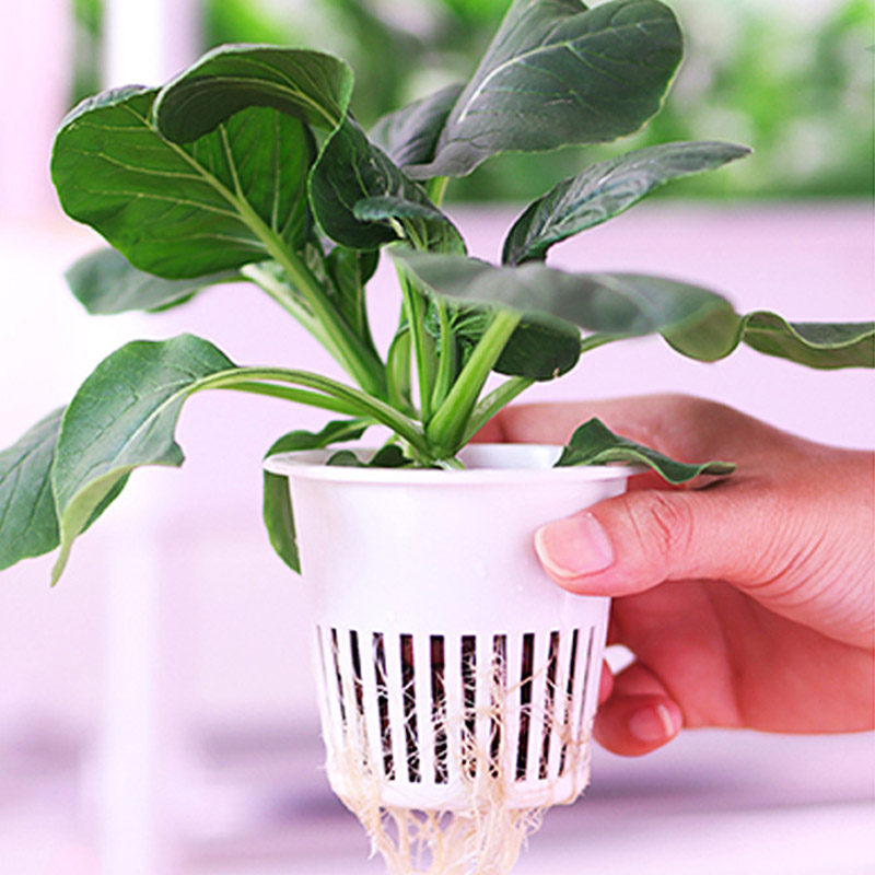 Sistema de plantación ydroponi - Diy Home Automation System reseña y precio
